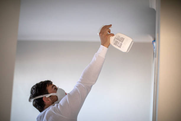 Best Black Mold Removal  in Lemon Hill, CA