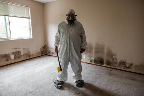 Best Mold Testing  in Lemon Hill, CA